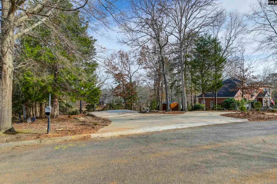 132 Laurel Branch Way, Columbia, SC 29212 - #2