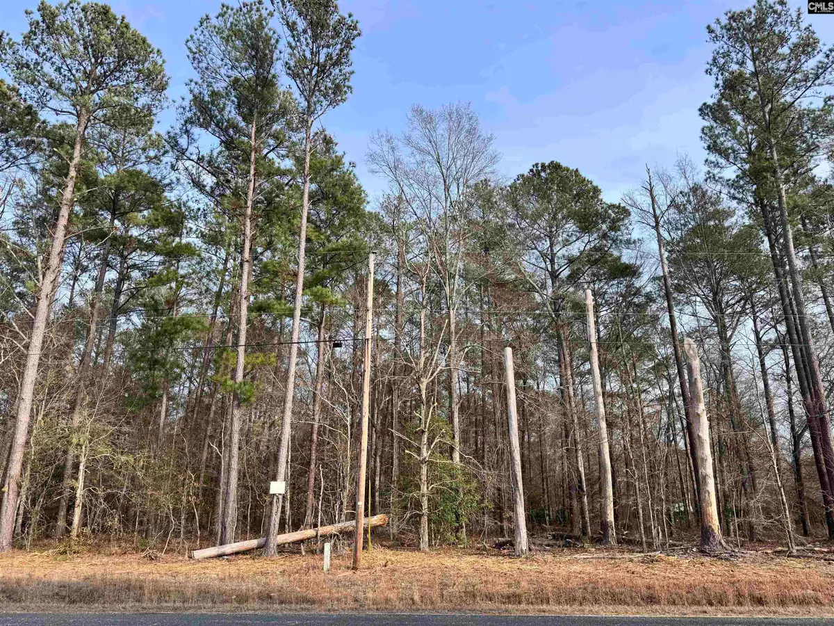 TBA E S Piney Branch Road, Eastover, SC 29044 - Image #1