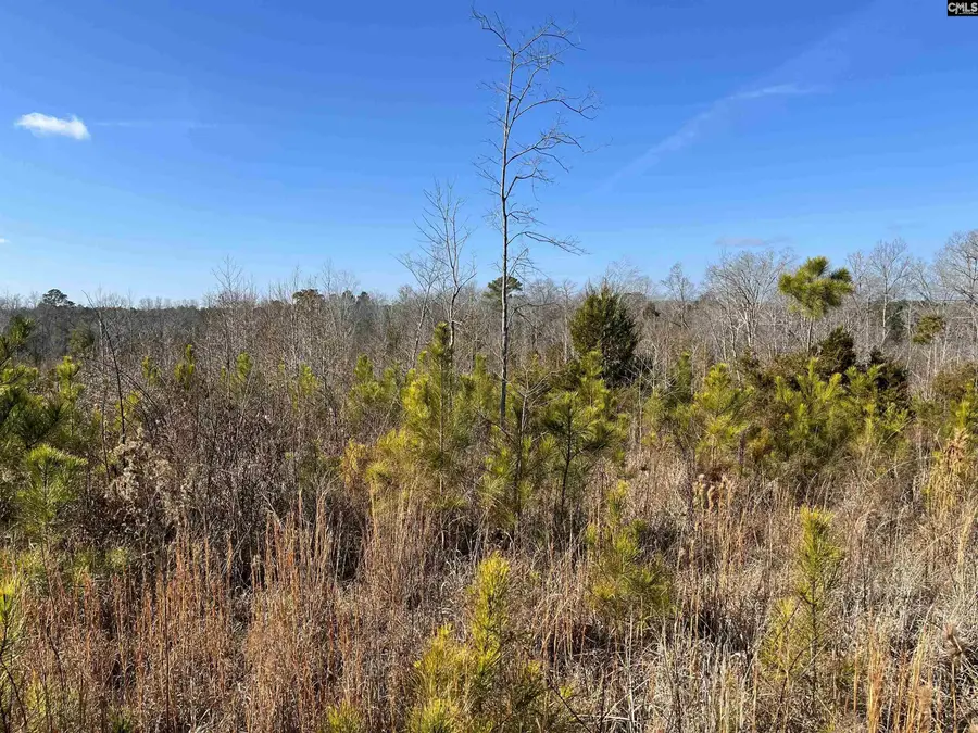 242 Chappell Road, Winnsboro, SC 29180 - Image #2