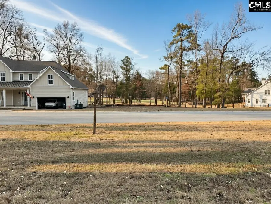 546 Misty Banks Drive, Chapin, SC 29036 - Image #2