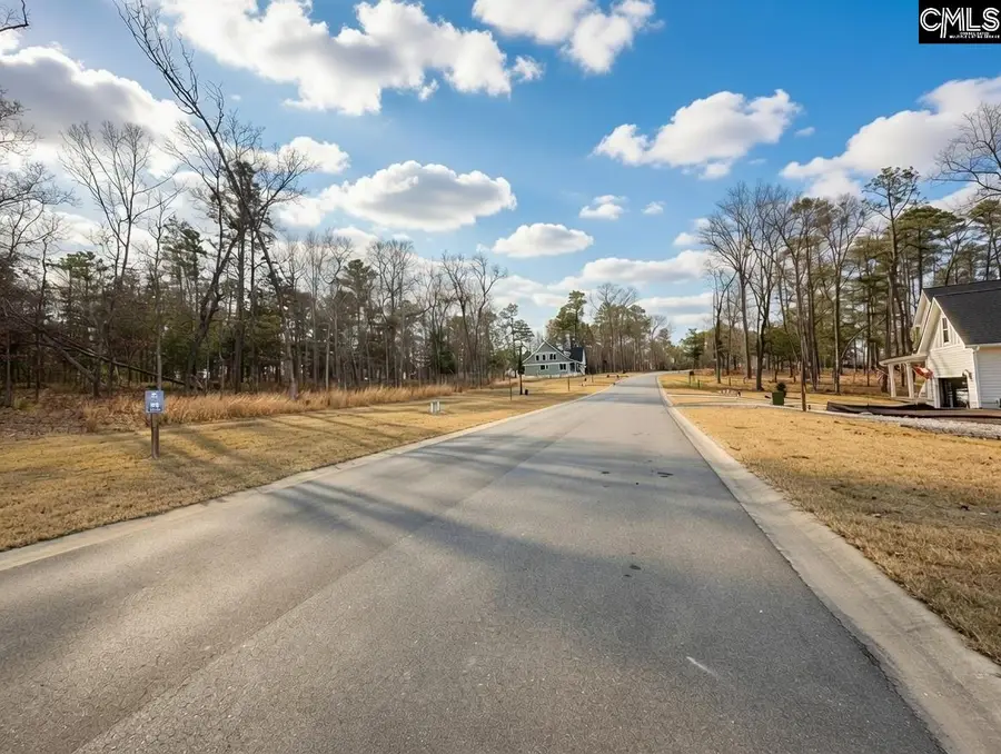 546 Misty Banks Drive, Chapin, SC 29036 - Image #3