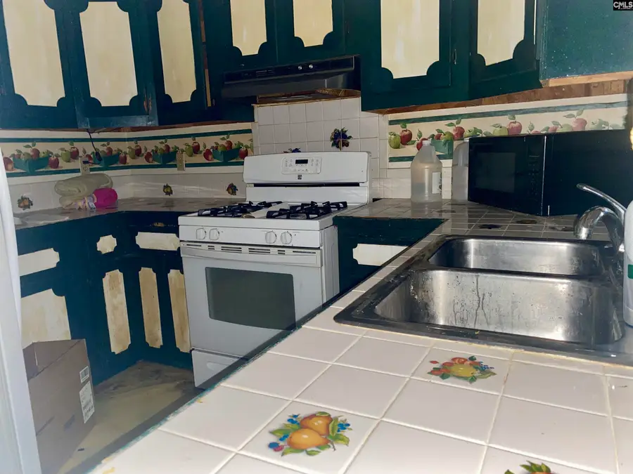 1611 Lewis Street, Camden, SC 29020 - Image #3