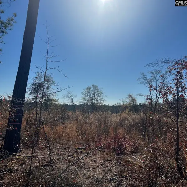 2199 Longtown Road, Ridgeway, SC 29130