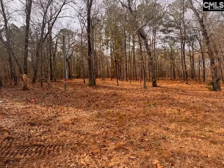 0 Myers Lane Myers Lane, Saint Matthews, SC 29135 - Image #2