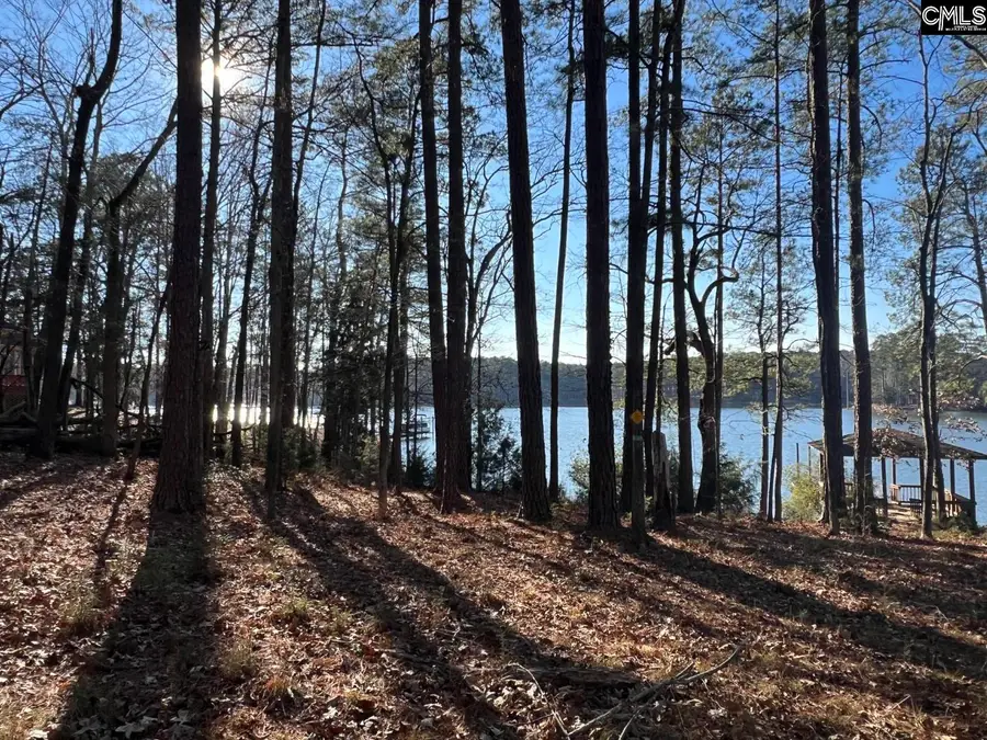 0 Stockman Road, Prosperity, SC 29127 - Image #2