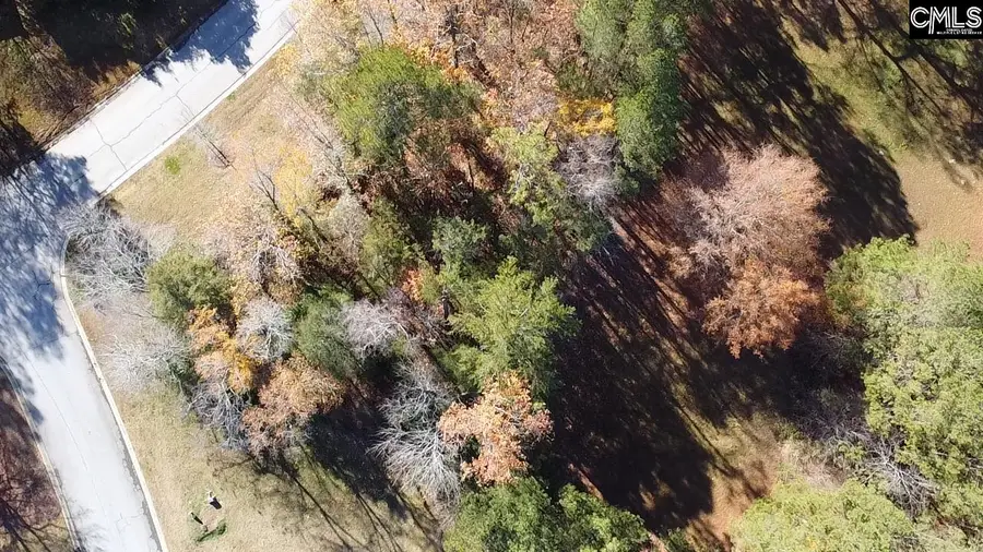 101 Summer Branch Lane, Irmo, SC 29063 - Image #3