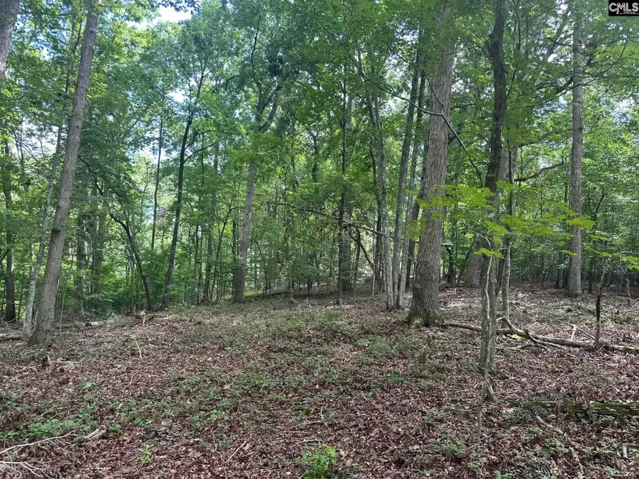 Mill Road, Little Mountain, SC 29075 - Image #2