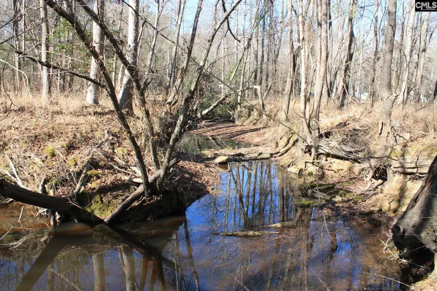 Utopia School Road, Leesville, SC 29070 - Image #2