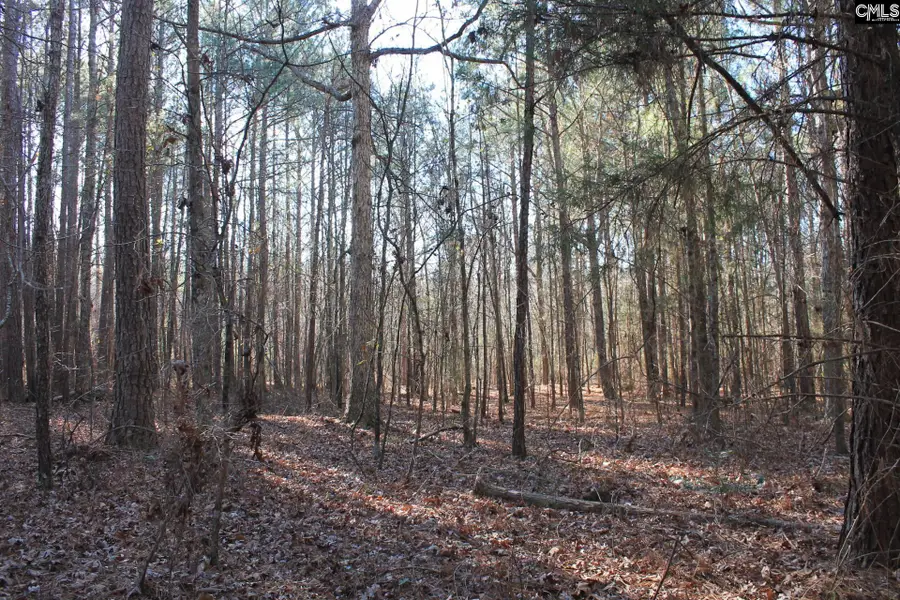 Utopia School Road, Leesville, SC 29070 - Image #3