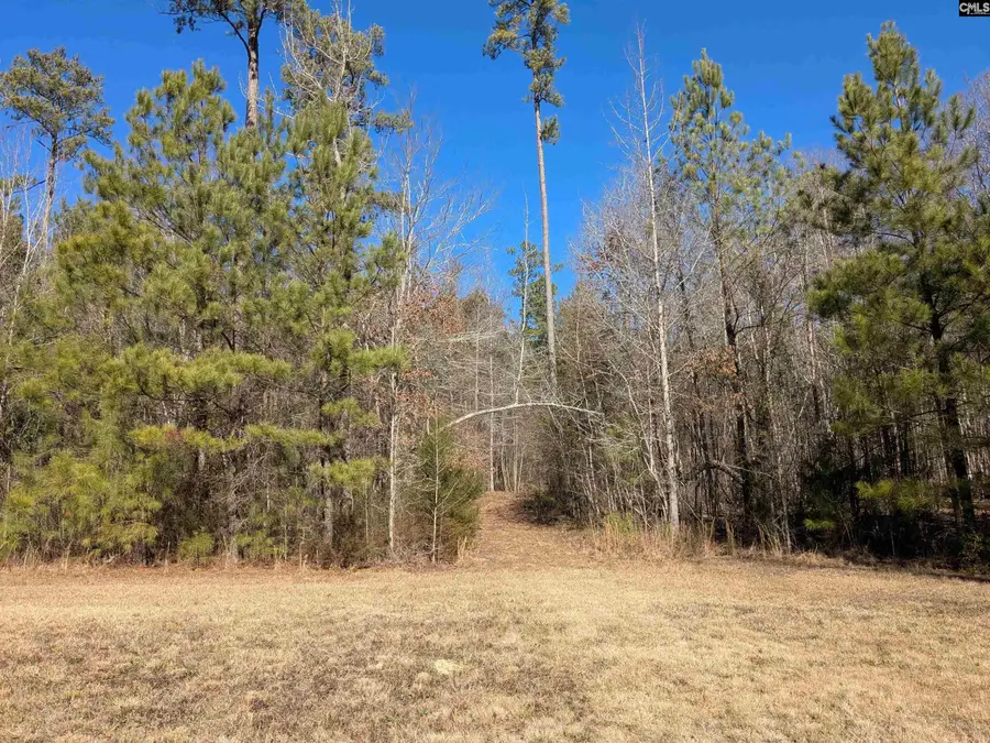 0 Smallwood Road, Ridgeway, SC 29130 - Image #2