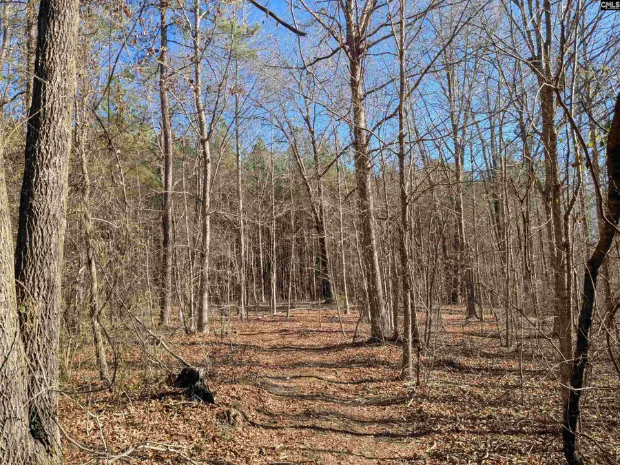 0 Smallwood Road, Ridgeway, SC 29130 - Image #3