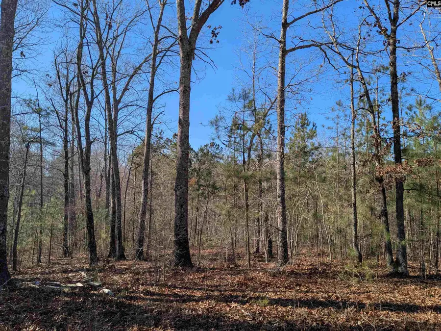 0 Smallwood Road, Ridgeway, SC 29130 - Image #2