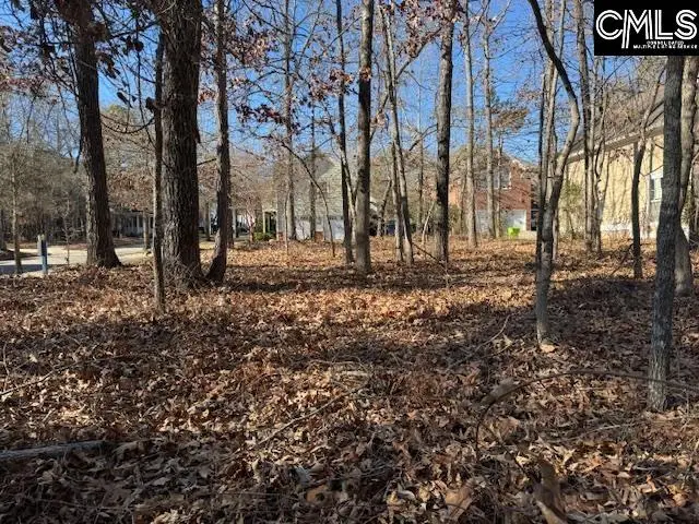 172 Harborside Circle, Columbia, SC 29229 - #1