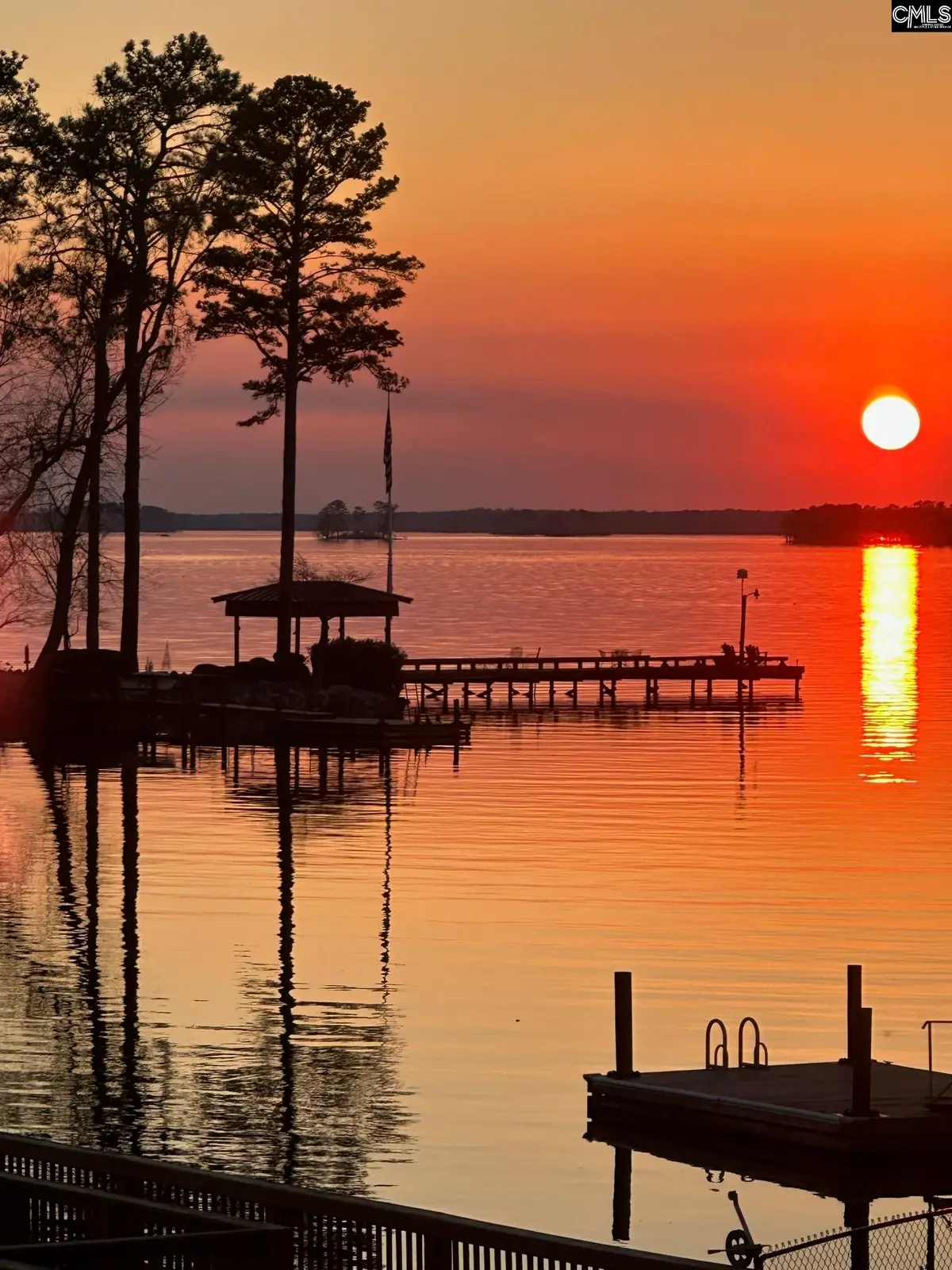 1072 Libby Ariail Circle, Chapin, SC 29036 - Image #1