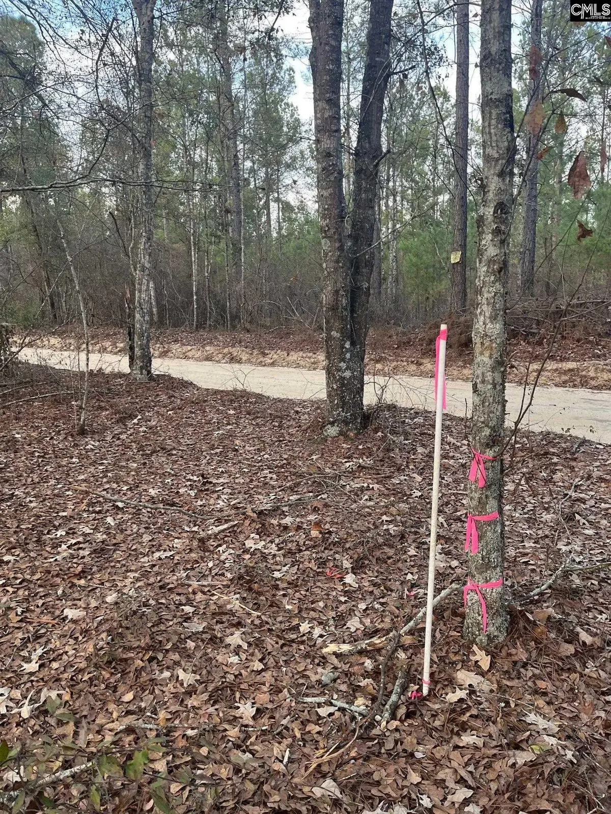 GOO 10A Wendell Lane #GOO 10A, Wagener, SC 29164 - #1