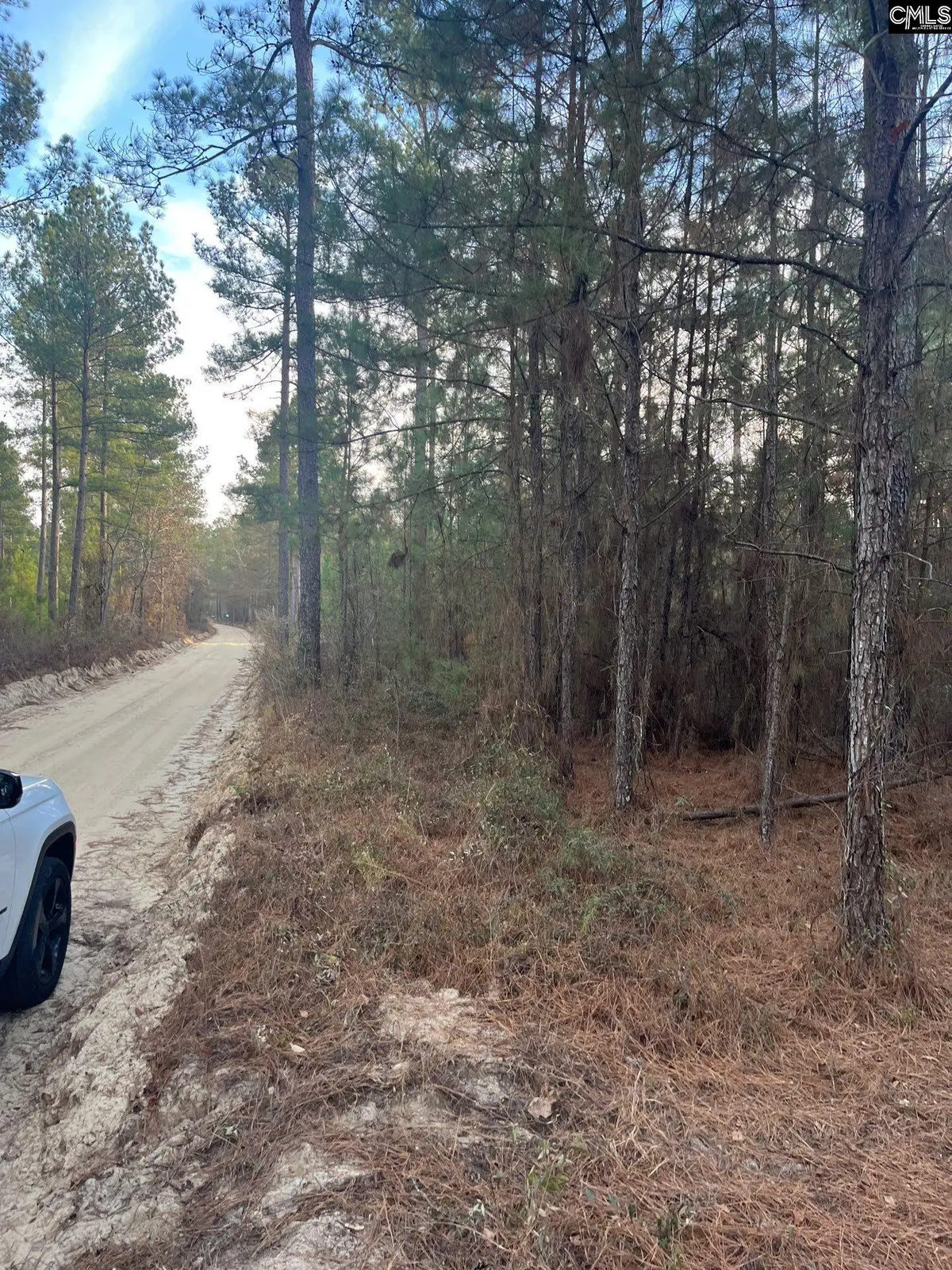 GOO 11B Wendell Lane #GOO 11B, Wagener, SC 29164 - Image #1