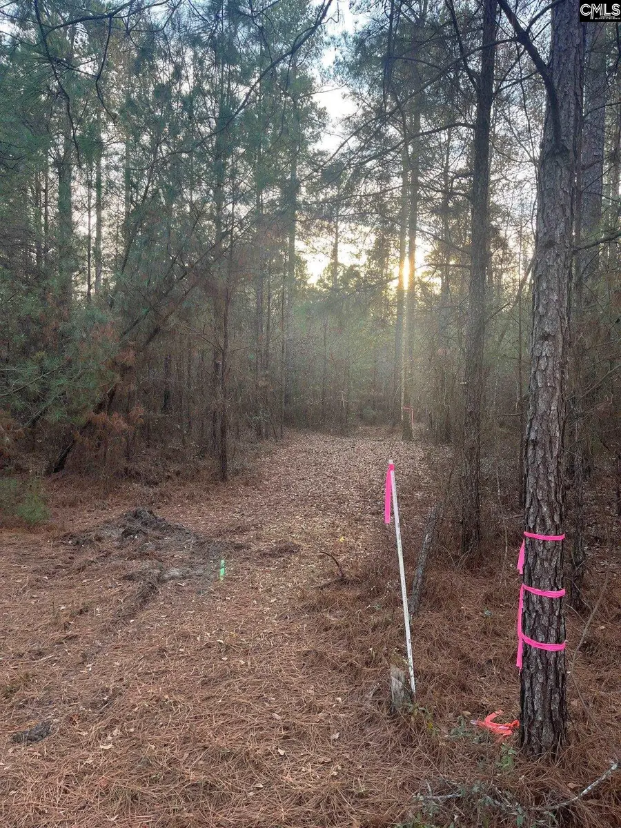 GOO 11B Wendell Lane #GOO 11B, Wagener, SC 29164 - Image #2