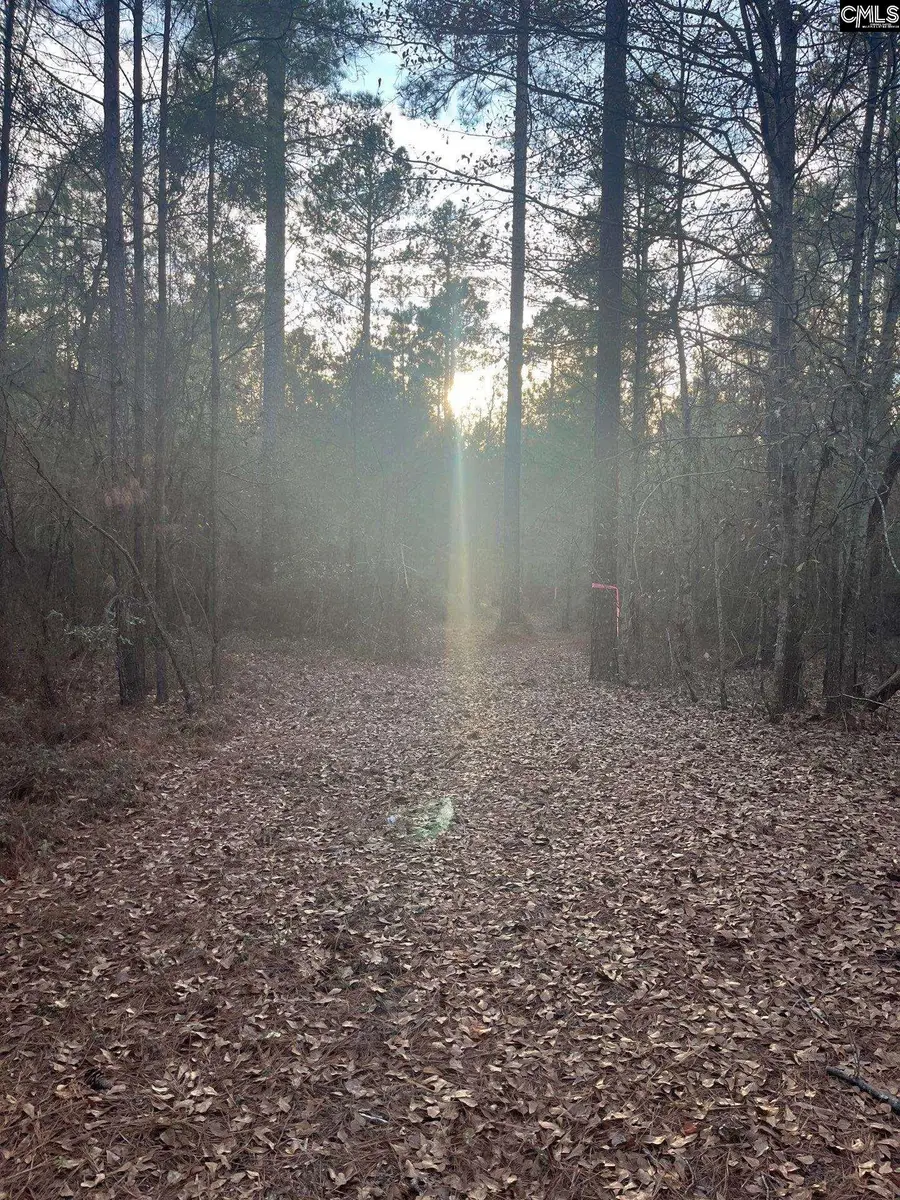 GOO 11B Wendell Lane #GOO 11B, Wagener, SC 29164 - Image #3