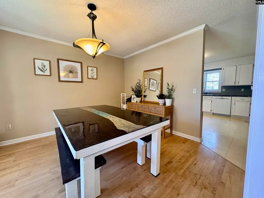 250 Dixieland Trail, Leesville, SC 29070 - Image #3