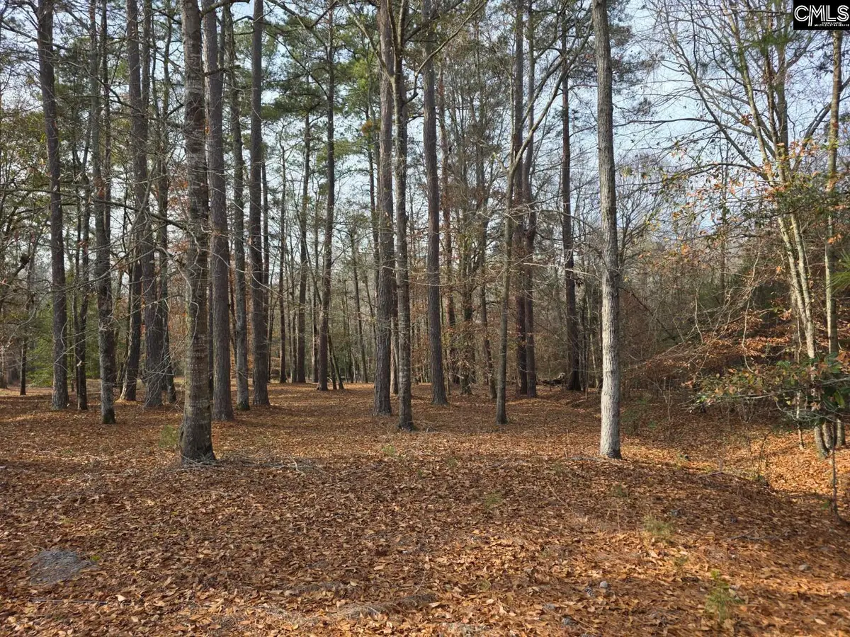 142 Orange Parish Street, Orangeburg, SC 29118 - Image #1