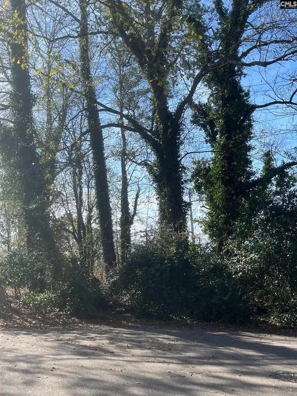 62 Riverview Court, Columbia, SC 29201