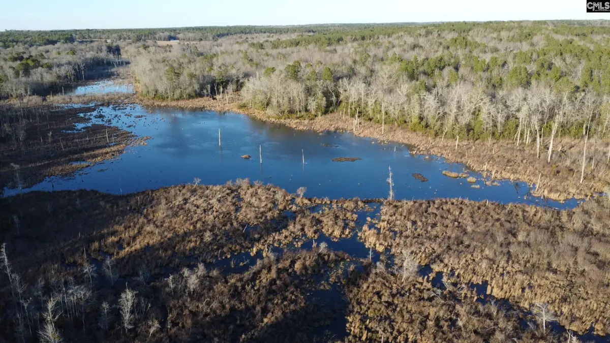 TBD Millers Pond Road, Wagener, SC 29801 - Image #1