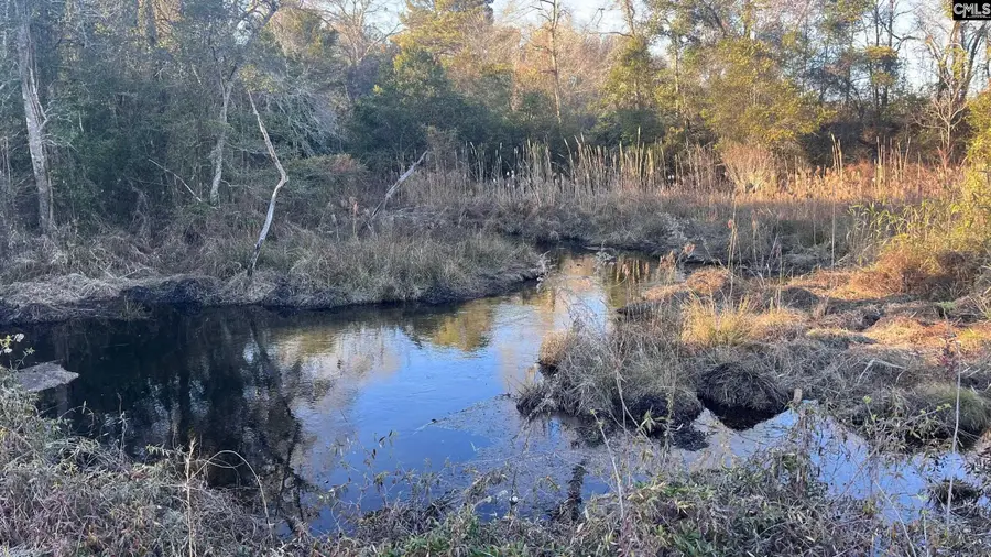 TBD Millers Pond Road, Wagener, SC 29801 - Image #2