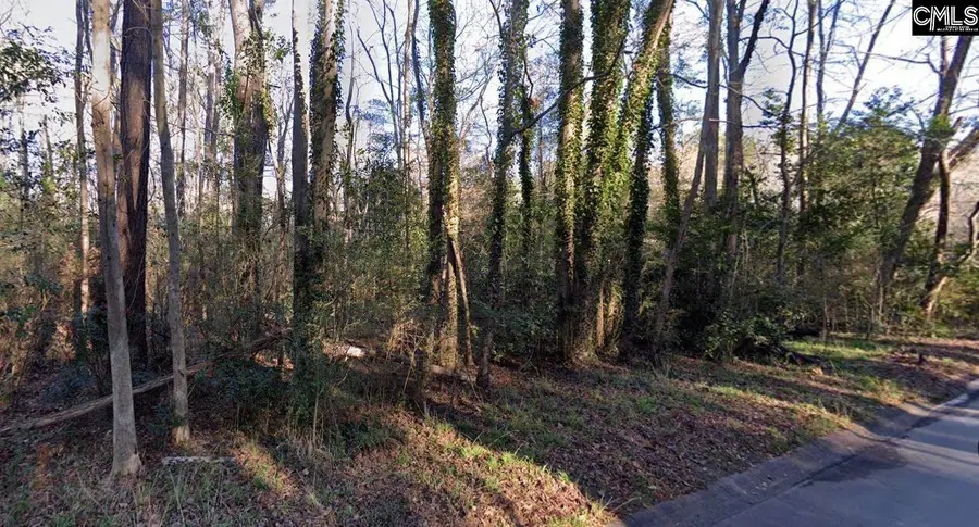 0 Terrace View Drive, West Columbia, SC 29169 - Image #2