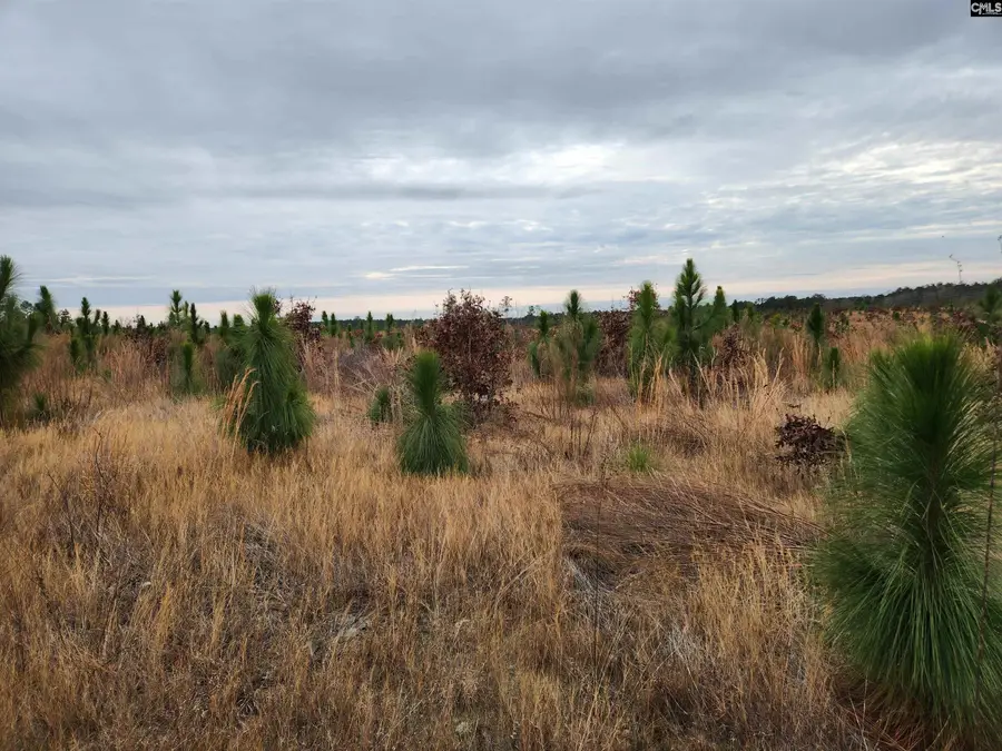 Tract 5 Park Road, Cassatt, SC 29032 - Image #2