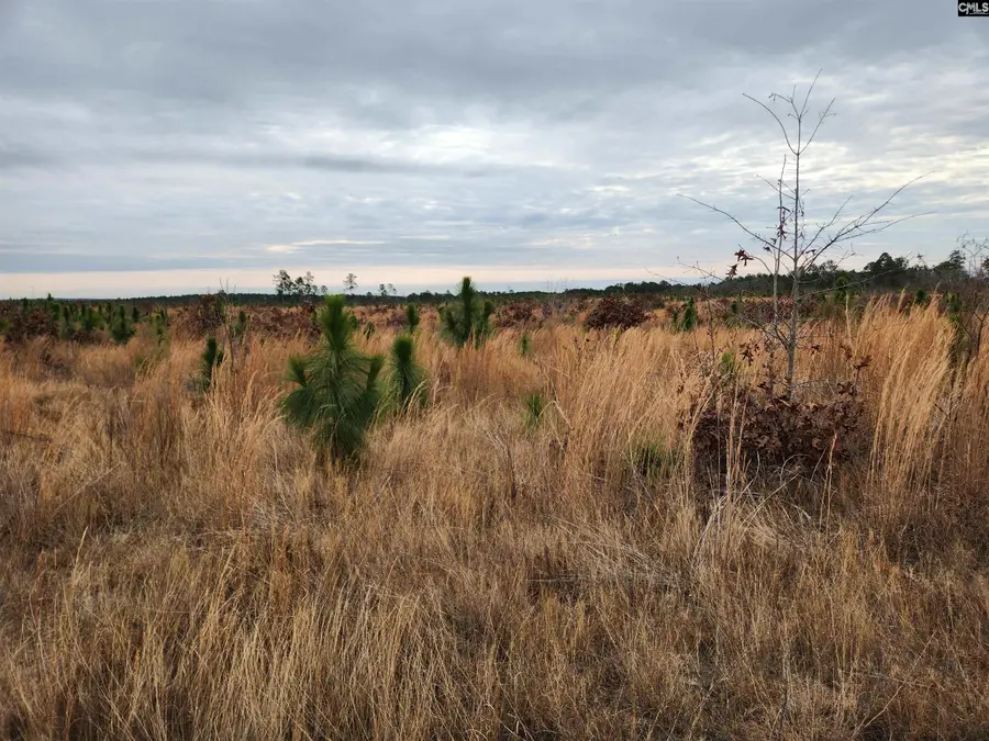 Tract 7 Park Road, Cassatt, SC 29032 - Image #3