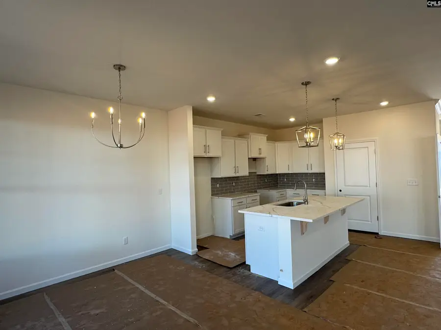 602 Griffon Drive, Chapin, SC 29036 - Image #2