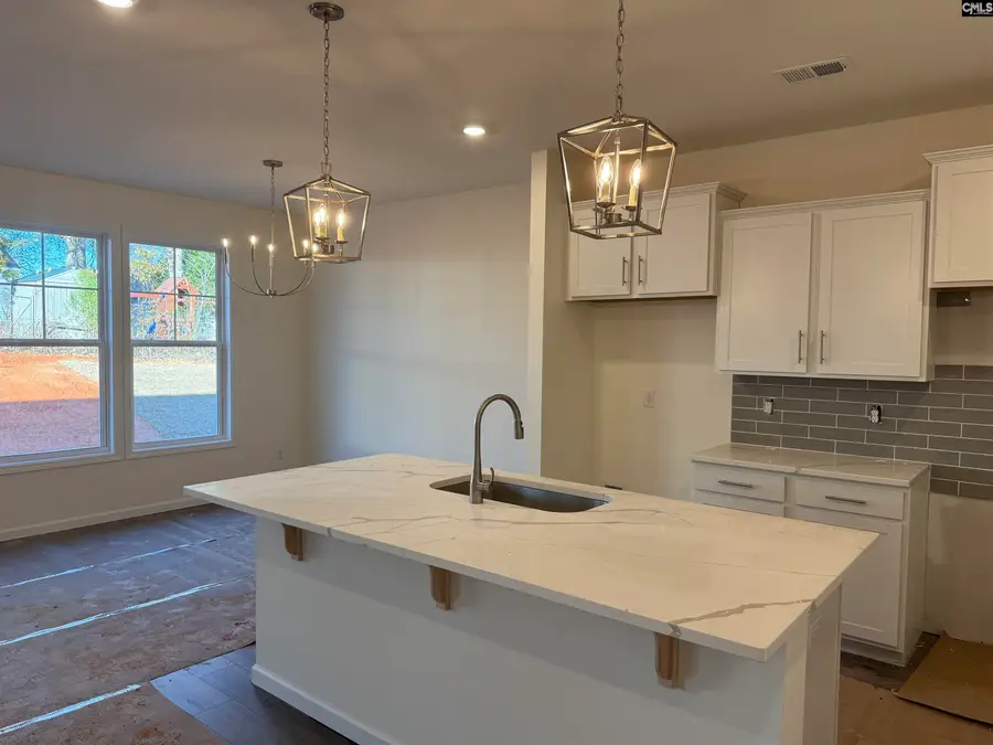 602 Griffon Drive, Chapin, SC 29036 - Image #3