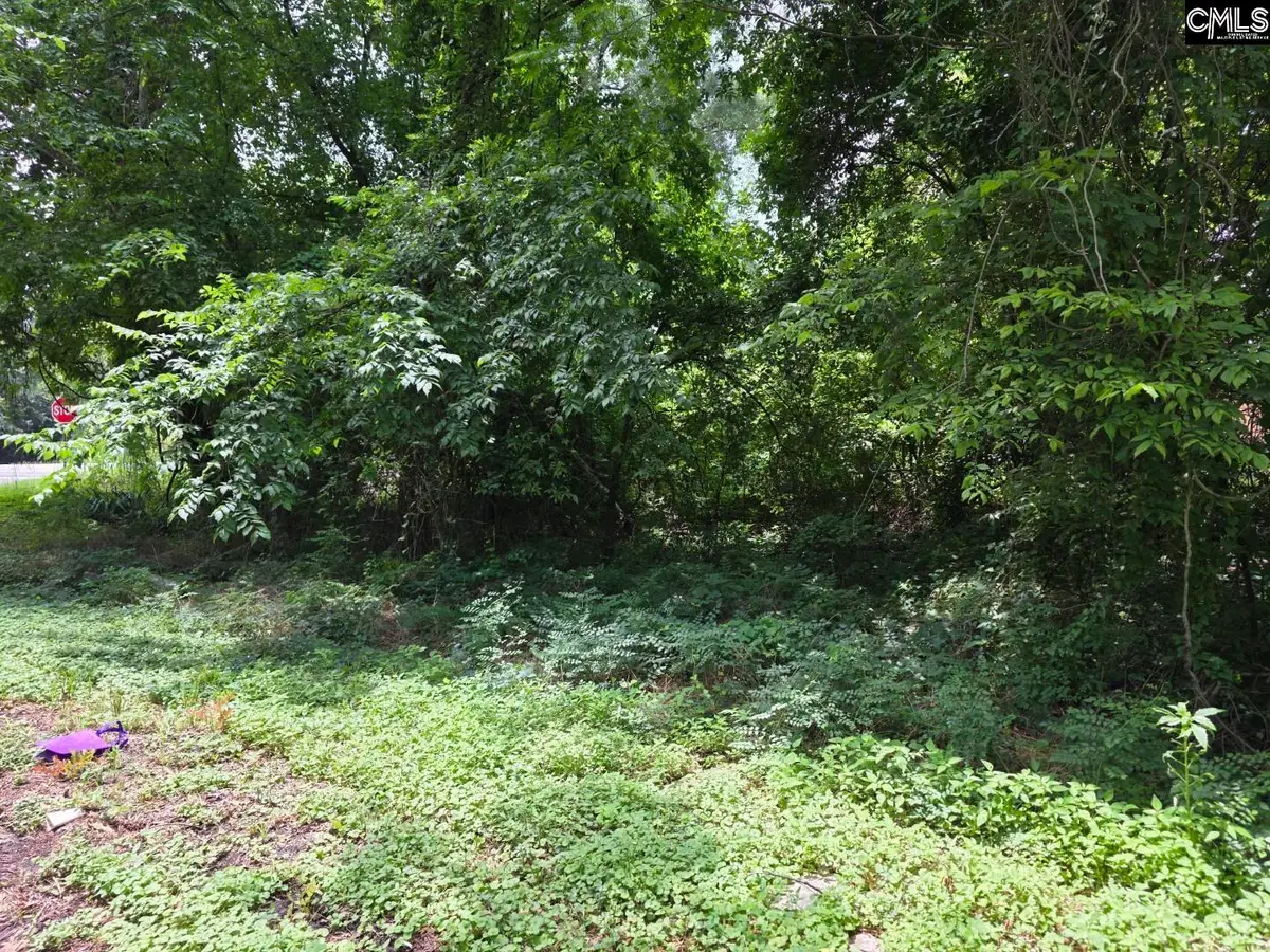 2729 Harlem Street, Columbia, SC 29209 - Image #1