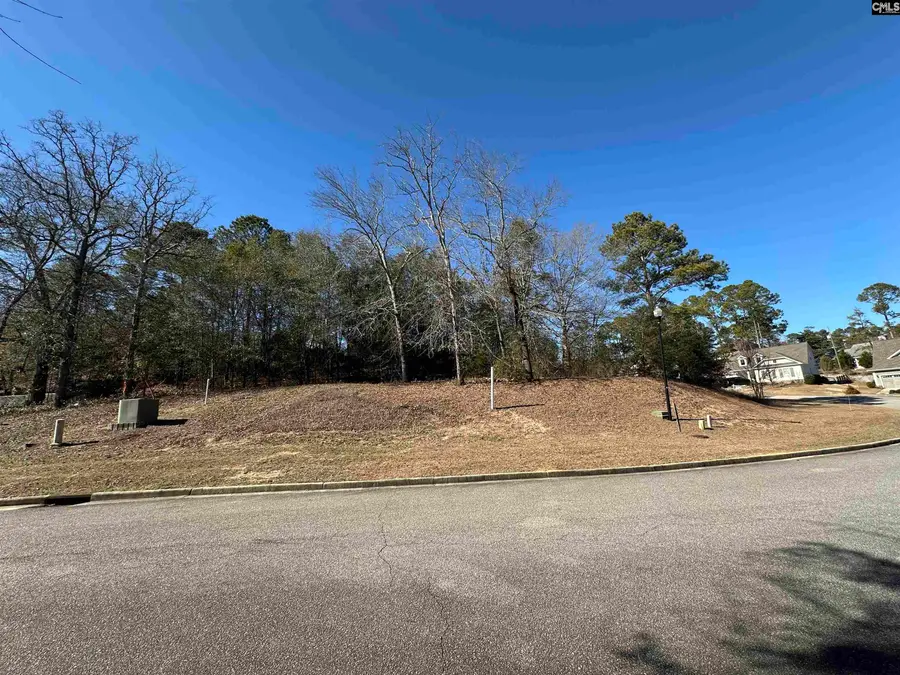 117 Mayhaw Drive, Columbia, SC 29206 - Image #2