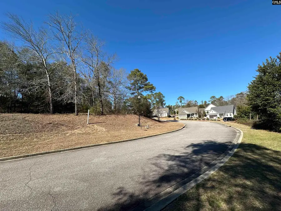 117 Mayhaw Drive, Columbia, SC 29206 - Image #3
