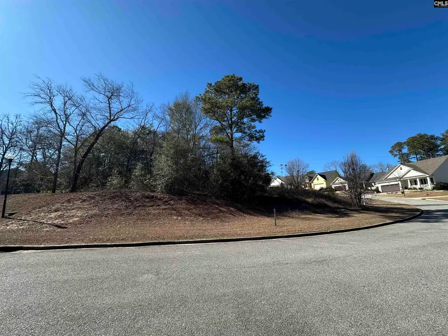 119 Mayhaw Drive, Columbia, SC 29206 - Image #2