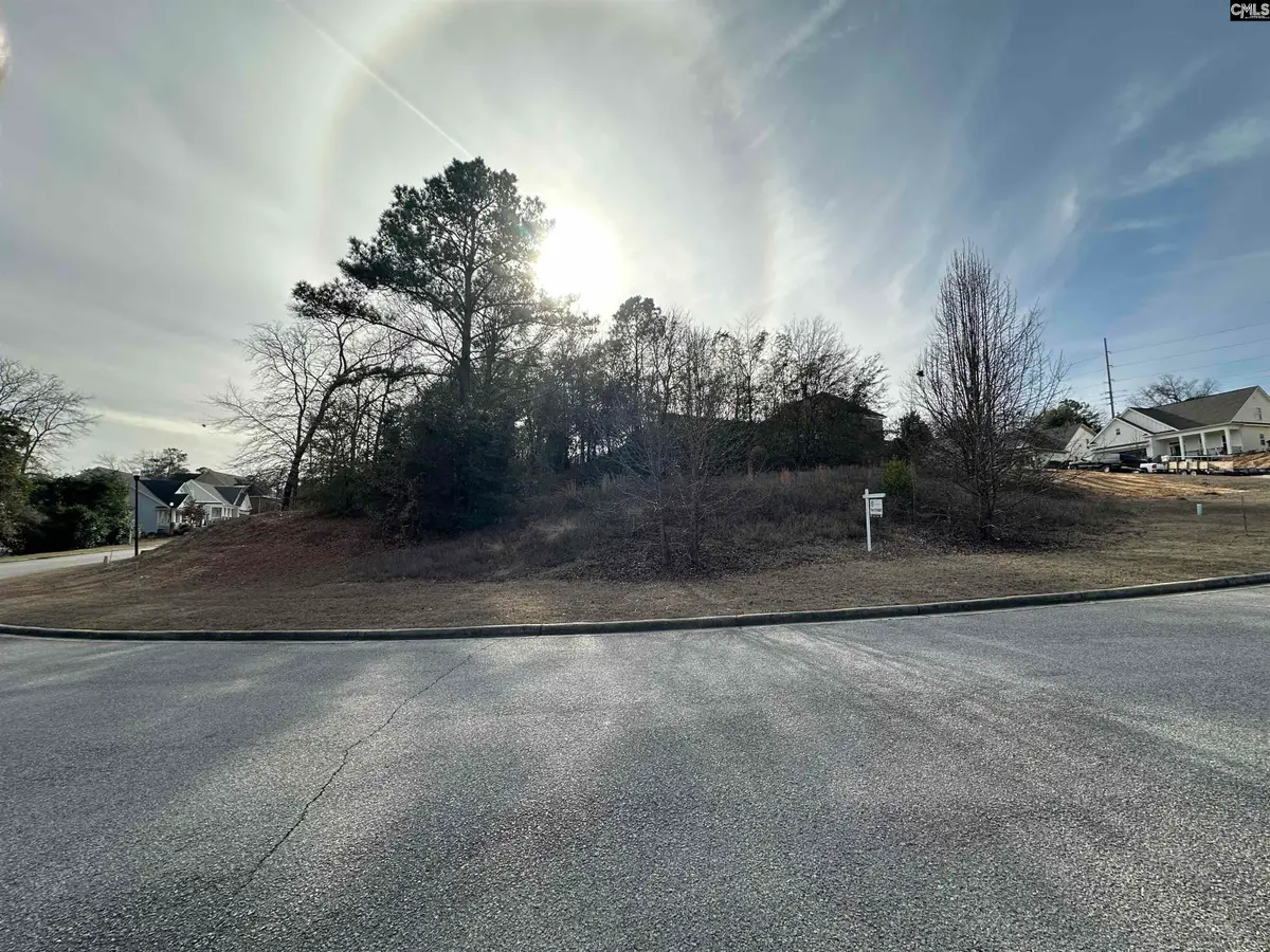 129 Mayhaw Drive, Columbia, SC 29206 - #1