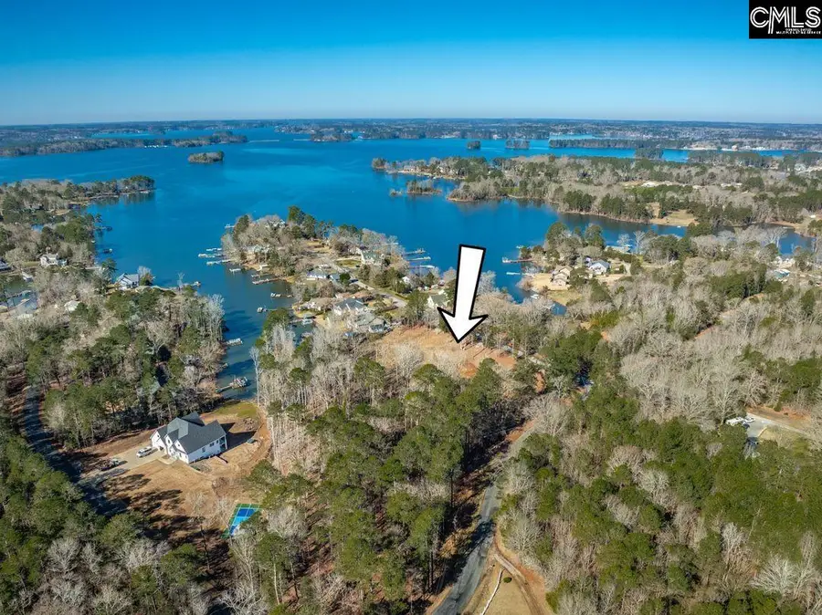 0 Bogater Road, Chapin, SC 29036 - Image #3