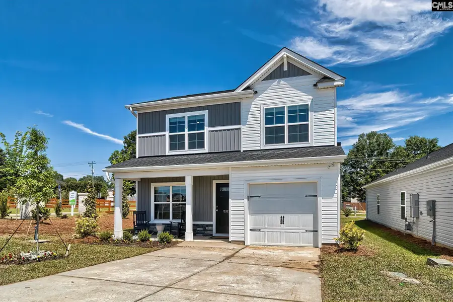 147 Calm Citadel Drive, Pelion, SC 29123 - #2