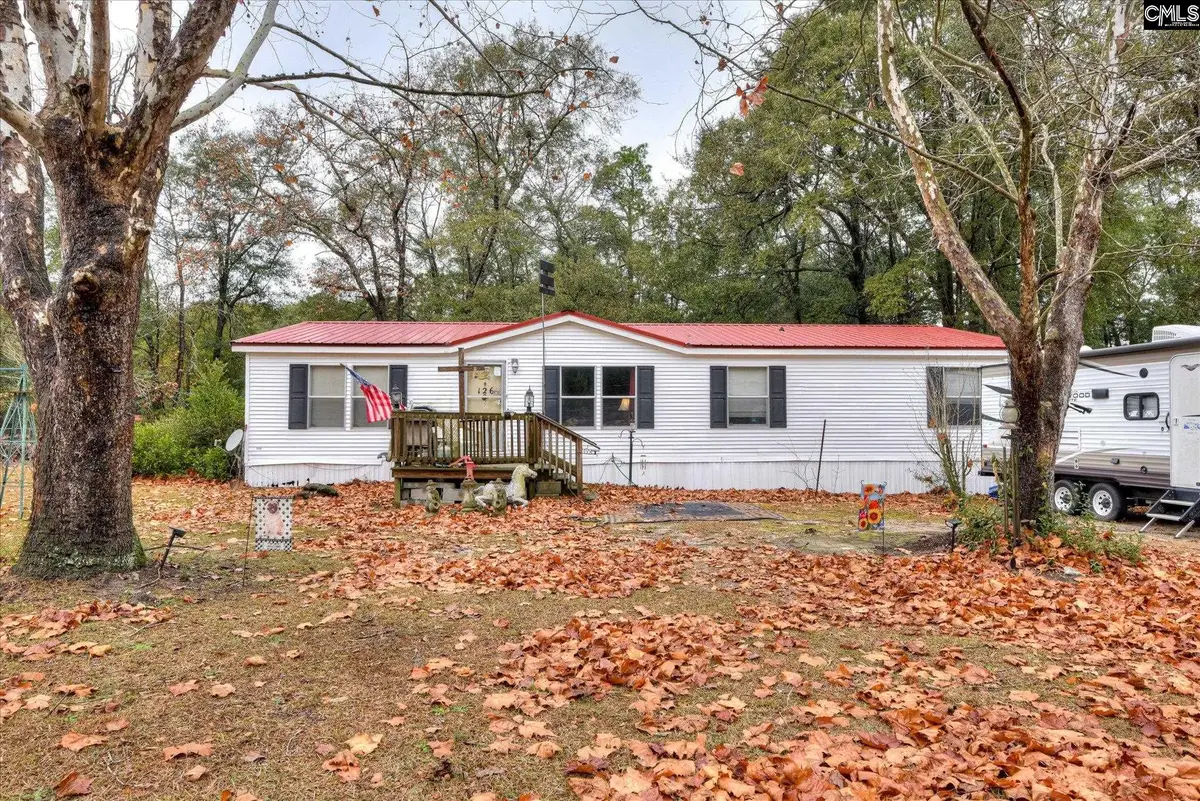 126 Airport Road, Wagener, SC 29164 - #1