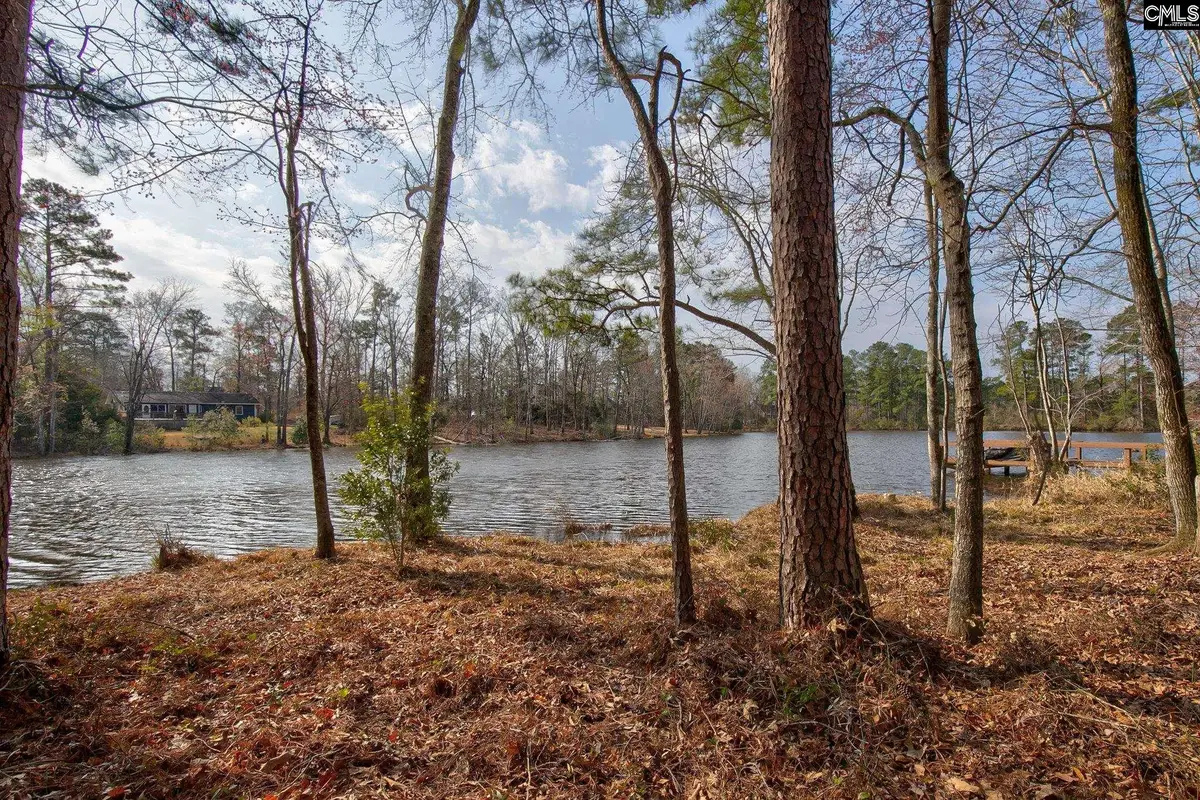 217 Caro Lane, Chapin, SC 29036 - #1