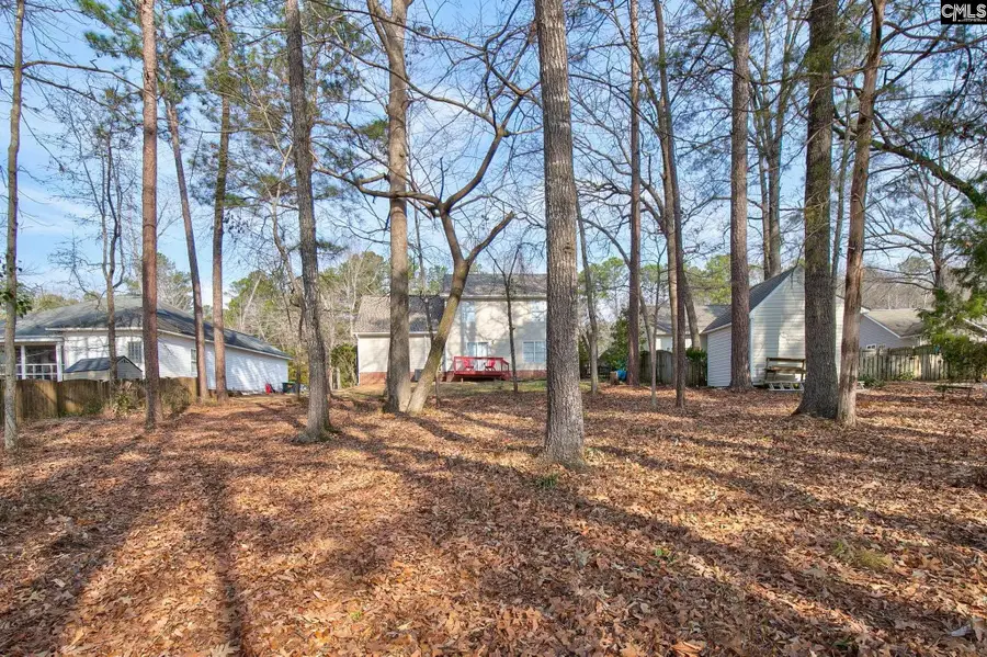217 Caro Lane, Chapin, SC 29036 - #2