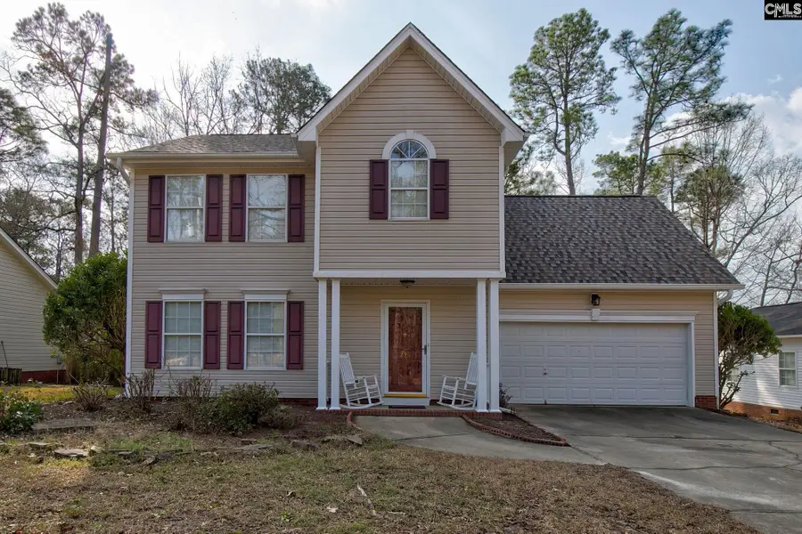 217 Caro Lane, Chapin, SC 29036 - #3