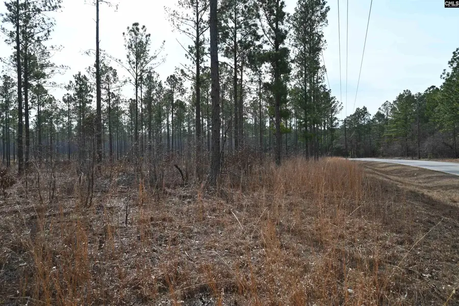 622 Pickett Thomas Road, Camden, SC 29020 - Image #2