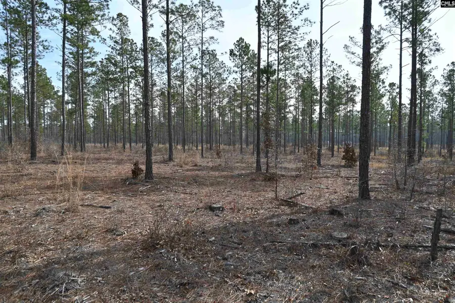 622 Pickett Thomas Road, Camden, SC 29020 - Image #3