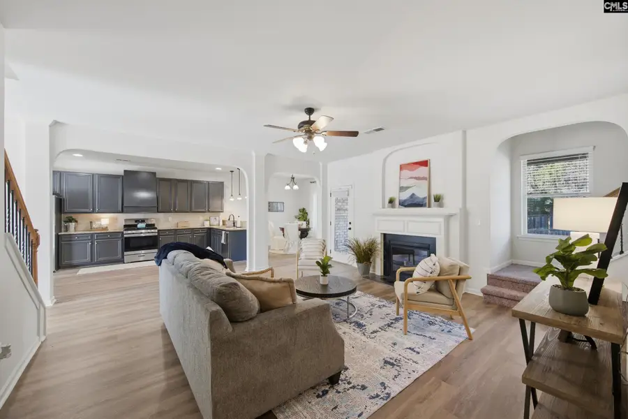 233 Blue Indigo Circle, Irmo, SC 29212 - Image #3