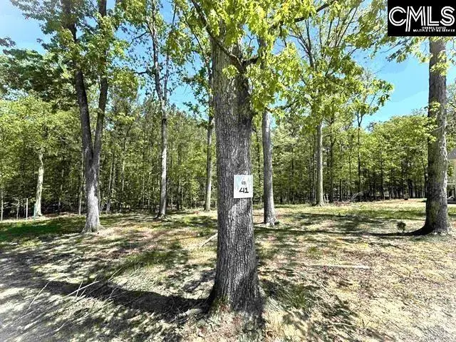 41 Shoreview Drive, Prosperity, SC 29127 - Image #3