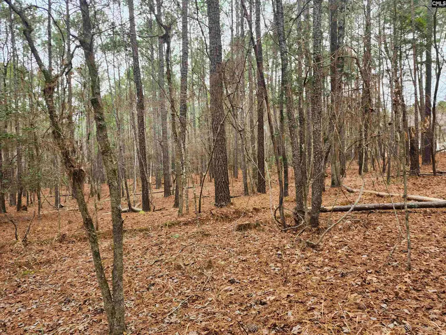 TBD Colonels Circle, Ridgeway, SC 29130 - Image #2