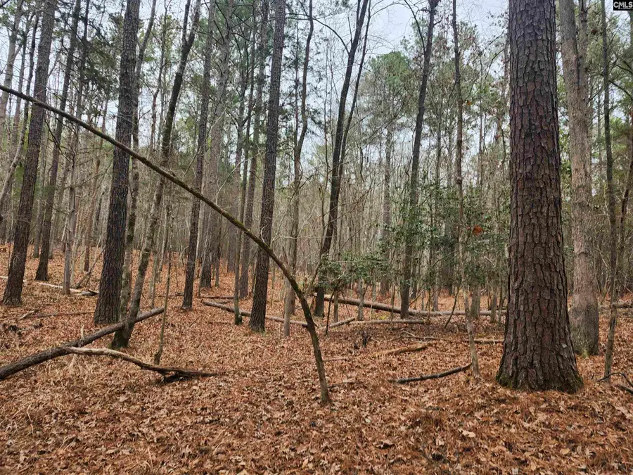 TBD Colonels Circle, Ridgeway, SC 29130 - Image #3