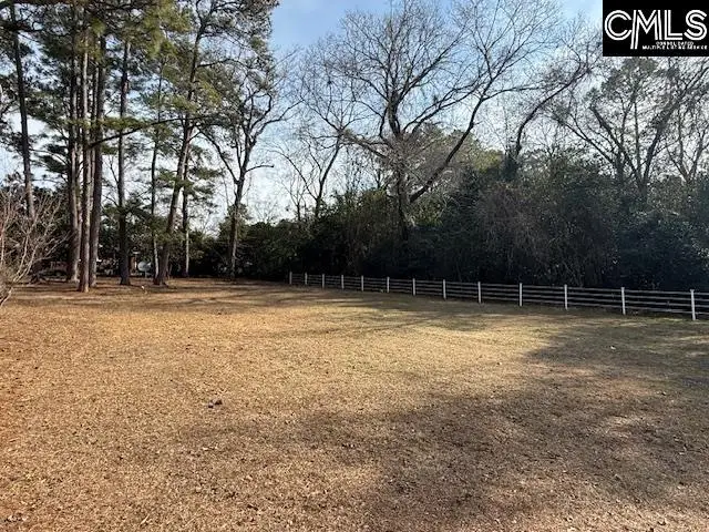 300 Dale Lane, Cayce, SC 29033 - #3